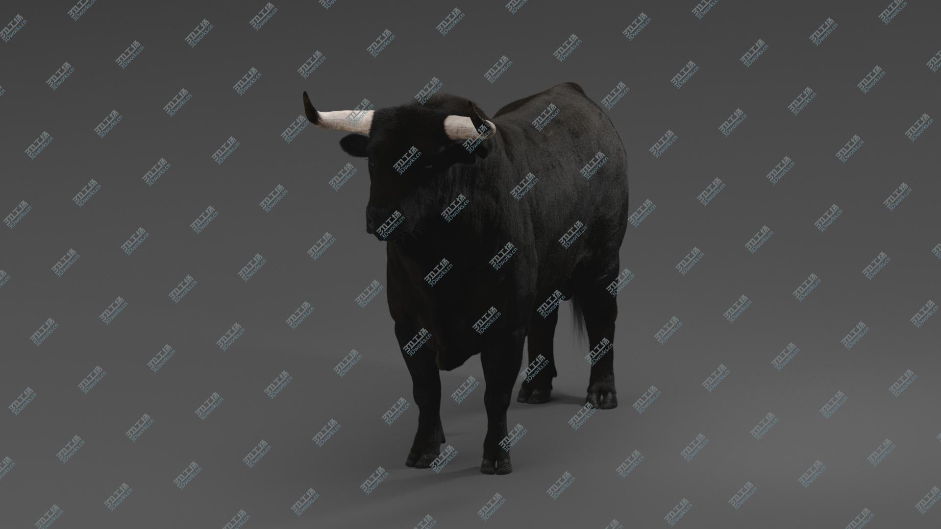 images/goods_img/202104021/3D Bull RIGGED/3.jpg